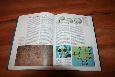 Séria kníh v nemčine natur und wissen,