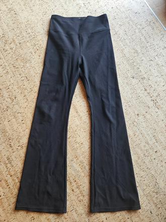 Zvonove rebrovane leginy, l