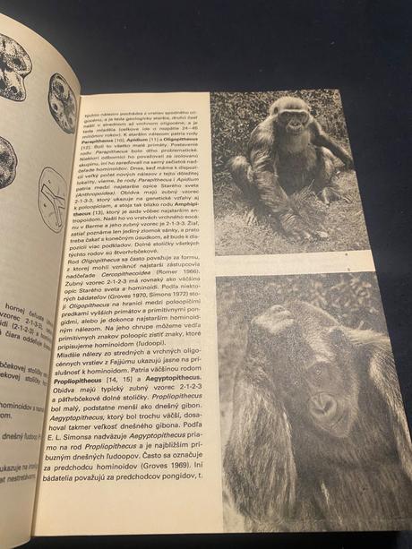 Encyklopédiaveľký obrazový atlas pravekého človeka, 