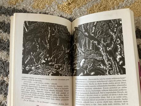 Jazdec v maske (1990),