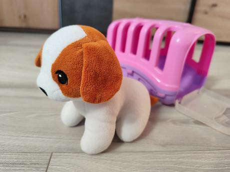 Psik s prepravnym boxom, 