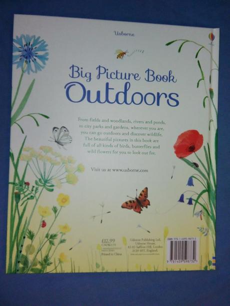 Usborne big picture book outdoors, 