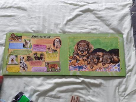 Kniha s puzzle, 