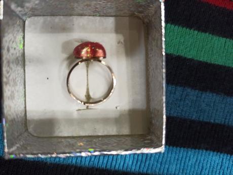 Bixu pre malú paradnicu, tri kusy, 