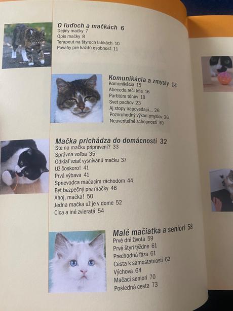 Život s mačkou starostlivosť, kŕmenie a zábava  de, 