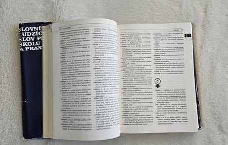 Slovník cudzích slov pre školy a prax, a slovník c,