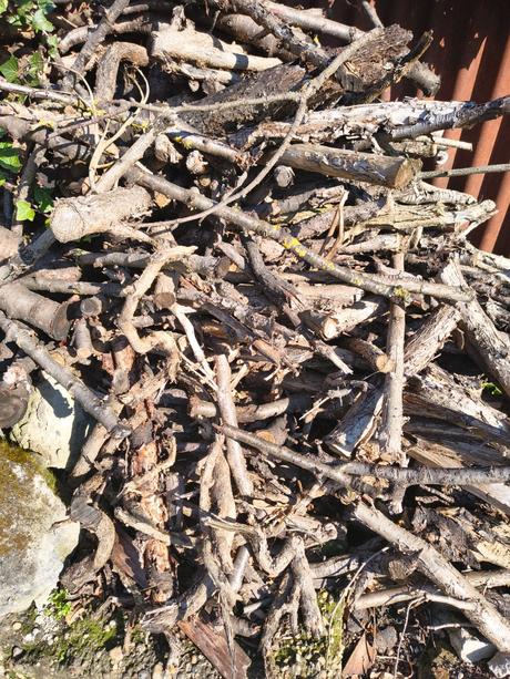 Drevo na kúrenie, do grilu, 