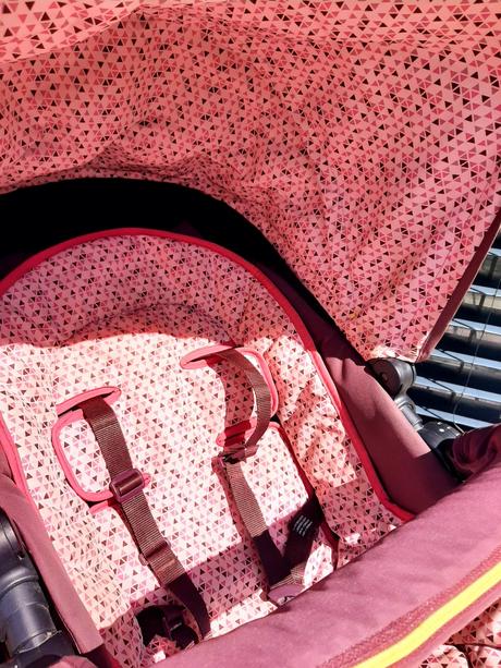 Concord neo, concord,concord neo