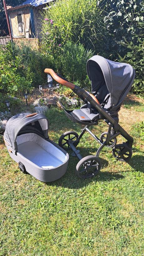 Kocik roan bloom, roan,roan bloom