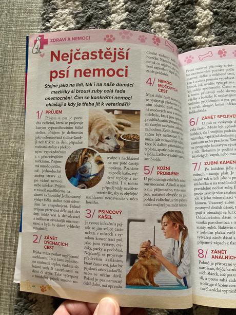 425 skvělých tipů, jak si vybrat nejlepšího pejska, 