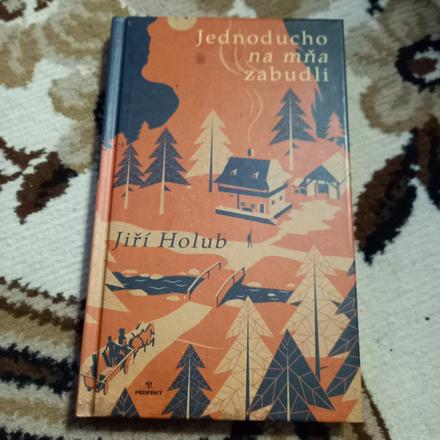 Kniha jednoducho na mňa zabudli, 