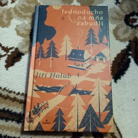 Kniha jednoducho na mňa zabudli, 