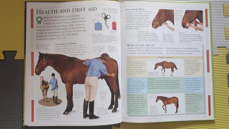 Pony care super stav,