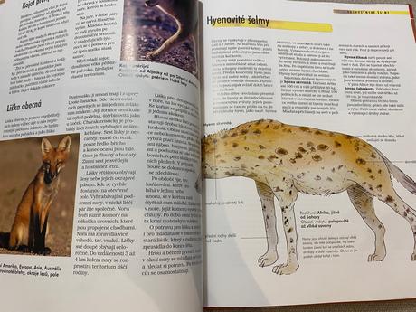 Savci vědomosti v kostce anatomie chování oblasti, 