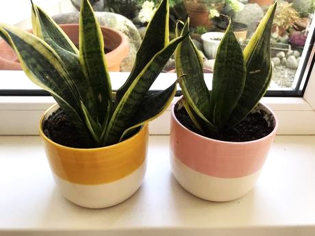 Keramické črepníky 2 ks,