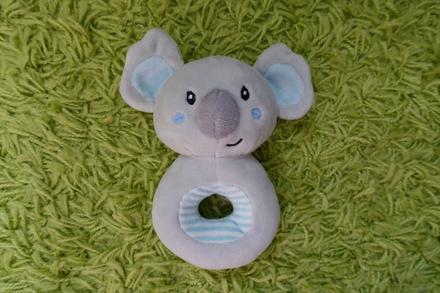 Koala hrkálka,