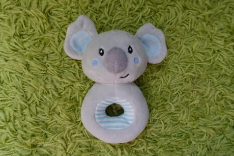 Koala hrkálka,