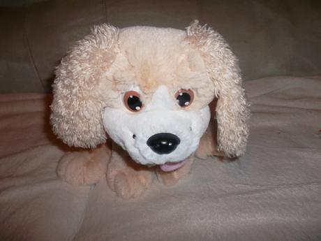 Interaktívny psík sunny,