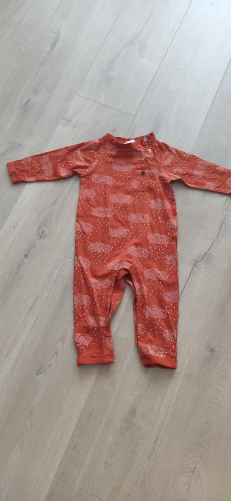 Overal novy, coccodrillo,74