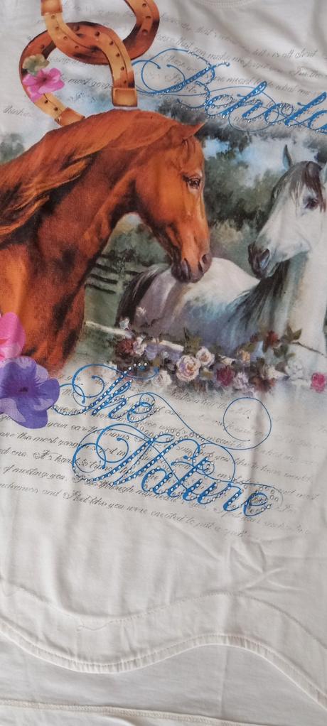 Tričko s koňom, 176