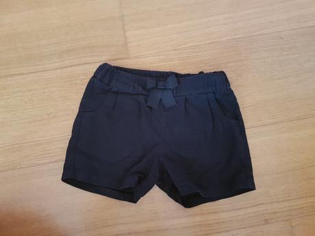 Sortky, palomino,122