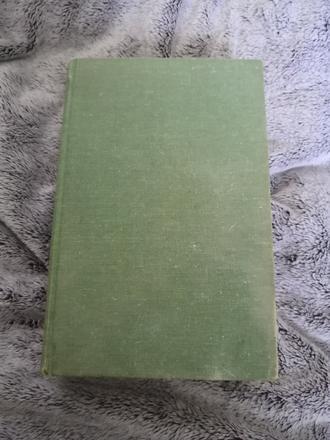 Kniha - bratia vajnerovci - po stopách vraha,