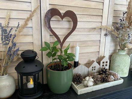 Hrdzavý zápich - srdce, 