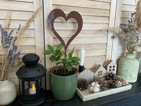 Hrdzavý zápich - srdce, 