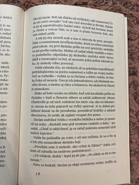 Krásna kniha krajina snov tamara mckinley,