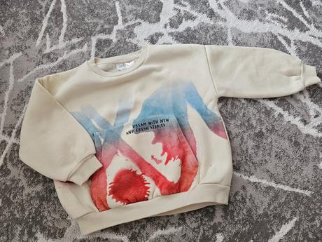 Mikina, zara,110