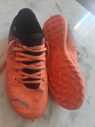 Halovky, puma,33