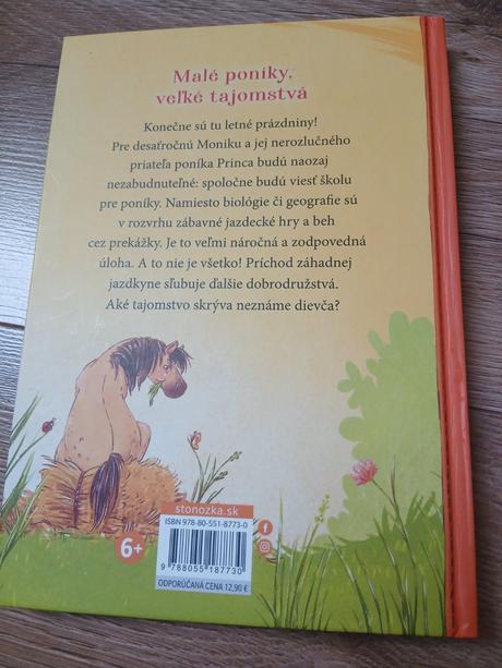 Škola pre poníky - tajomstvo záhadnej jazdkyne, 