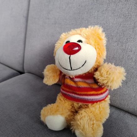 Plyšák - hrací medvedík, 