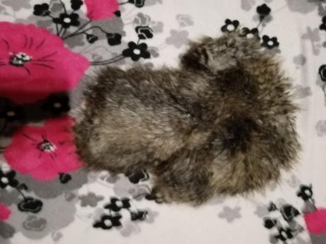 Dámska čiapka, atmosphere