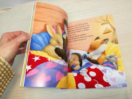 One special sleepover touch and feel nsp19,