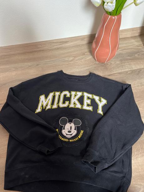 Mickey mikina, house,m