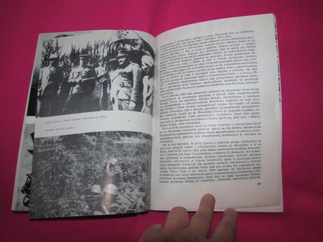 Žilina v minulosti a dnes /1963/, 