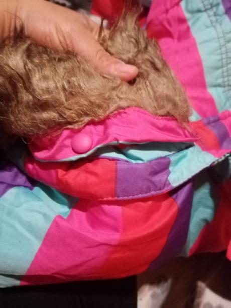 Detská vetrovka, 122