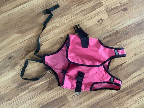 Postroj pri učení sa lyžovať,