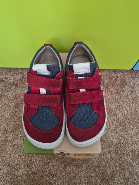 Froddobaze 35, froddo,35