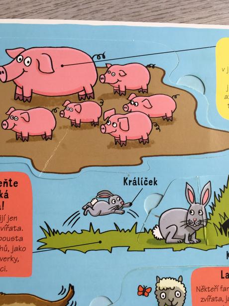 Kniha s odklápacími okienkami, 