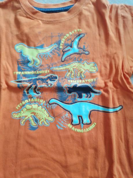 Tričko s dinosaurami, 104
