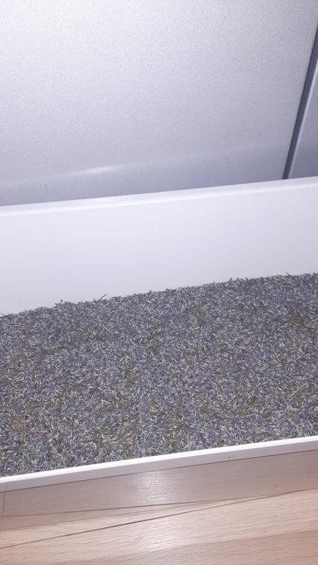 Sušená levanduľa 100g,