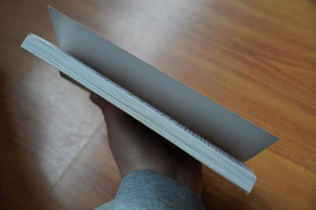 Trénink v bojových uměních,