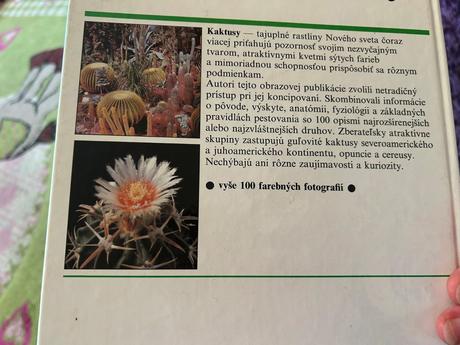 O kaktusoch,