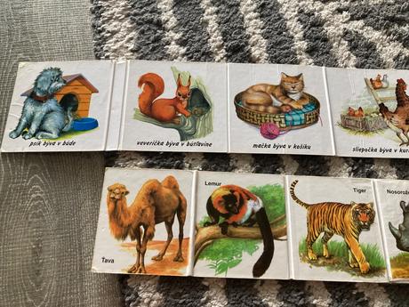 Kde bývajú zvieratká a zoo / leporelá,