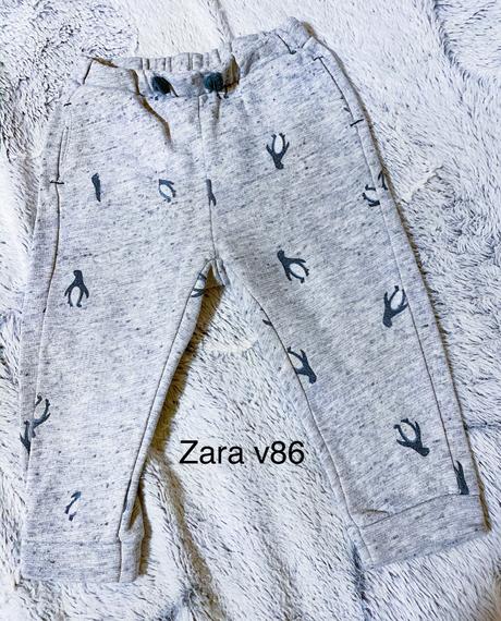 Pudlace zara, zara,86