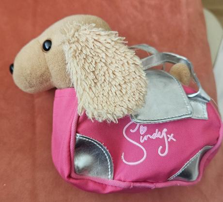 Psík cindy v kabelke, 