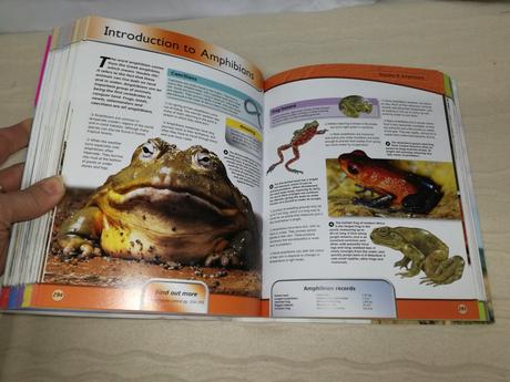 Encyclopedia of life sp20, 