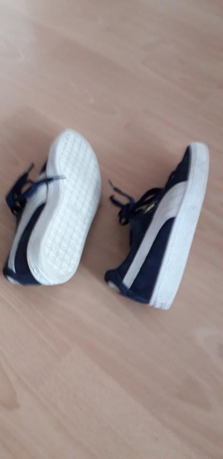 Botasky puma, puma,37